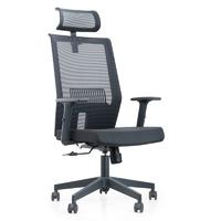 High back mesh chair with adjustable headrest and fixed lumbar support NO.A220