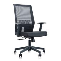 Middle back mesh chair with adjustable headrest and fixed lumbar support NO.B220